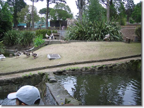 Diapositiva siguiente